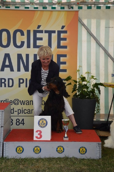 CH. Jisèle de cinq a sept - 1er EXC , meilleure Gordon ( jeune ), Meilleure de Groupe, 3ème du BIS