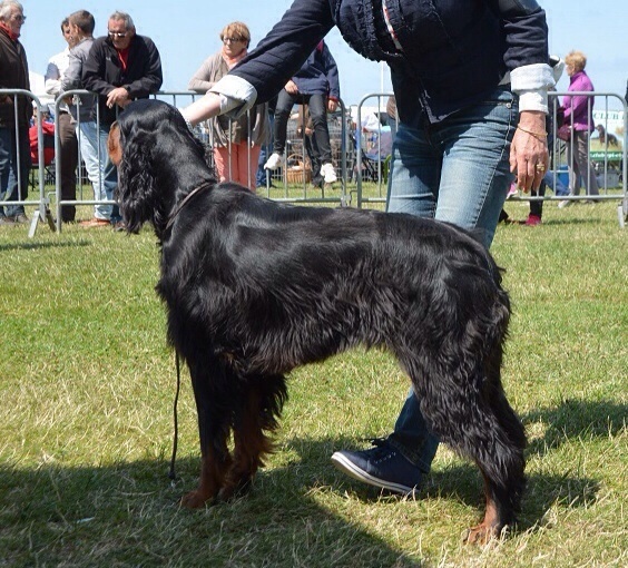 CH. Jisèle de cinq a sept - 2ème EXC