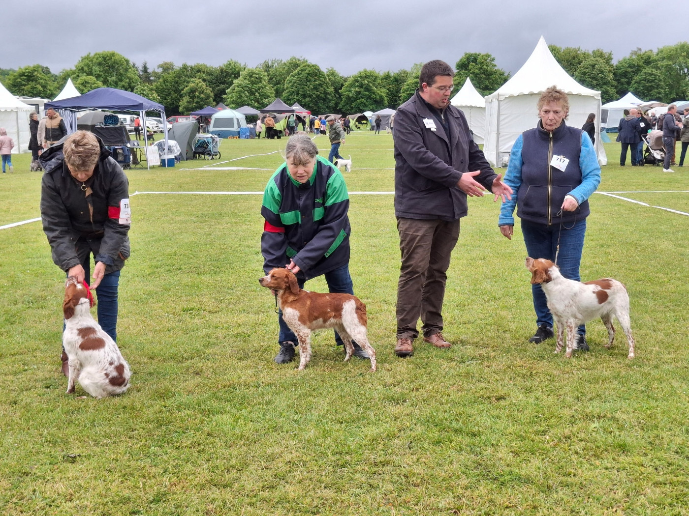 Publication : des T'chiots Picards