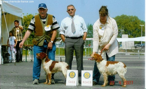 Somme des T'chiots Picards - 1er Excellent RCACS