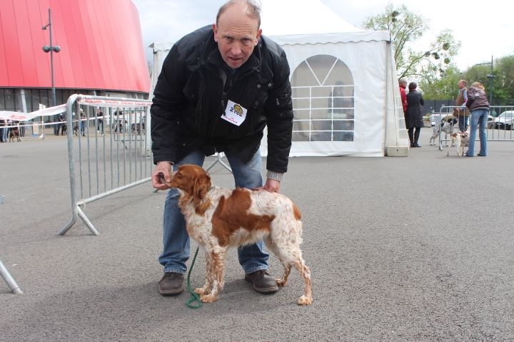 Eîka des T'chiots Picards - 4ème Excellent