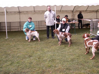 Somme des T'chiots Picards - 1er excellent CACS