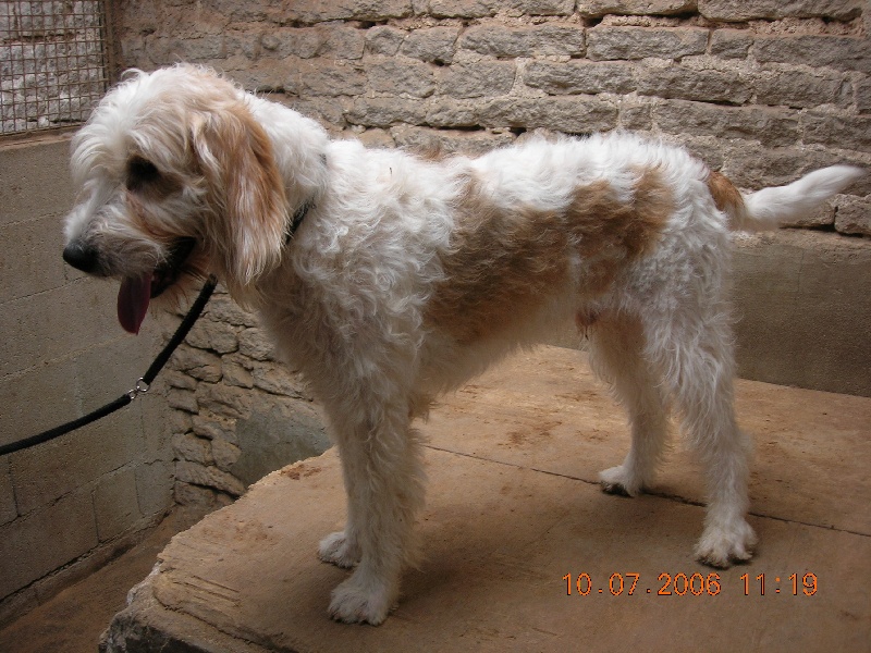 CH. Arsene lupin du sentier d'Aimeron - 2é Exc CLASSE Intermédiaire