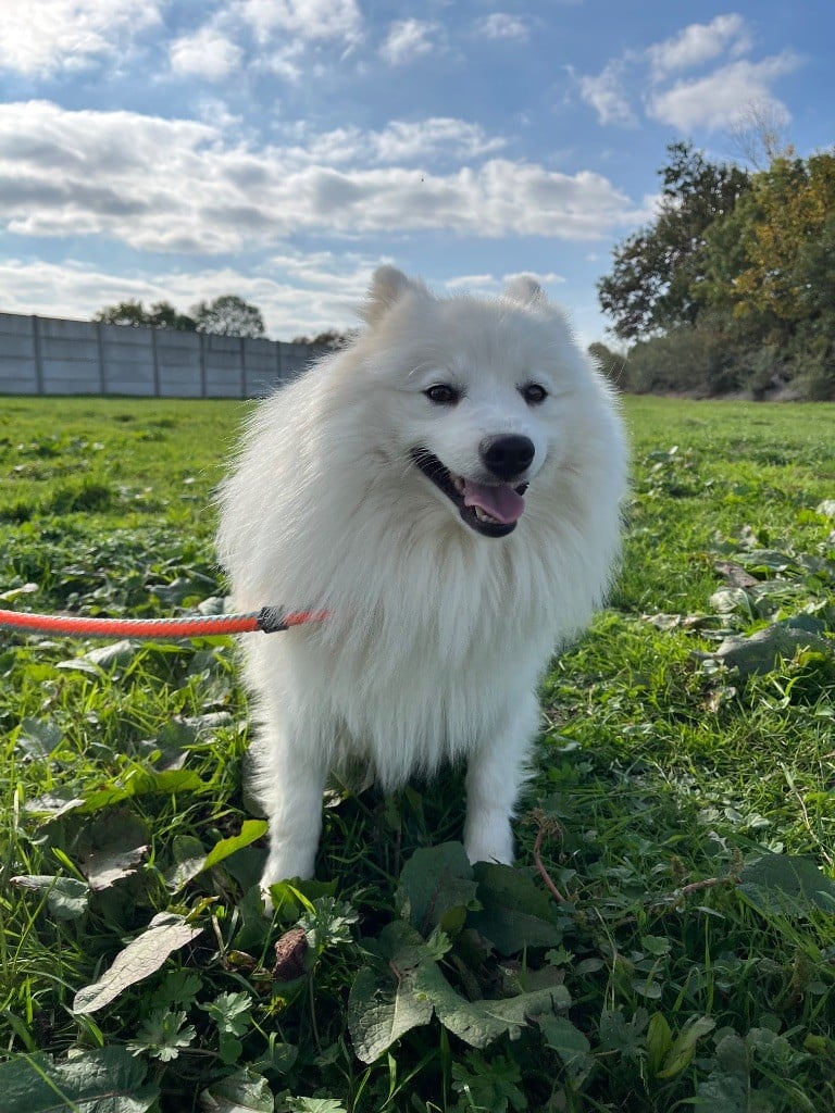 Des Douceurs De Margot Uka