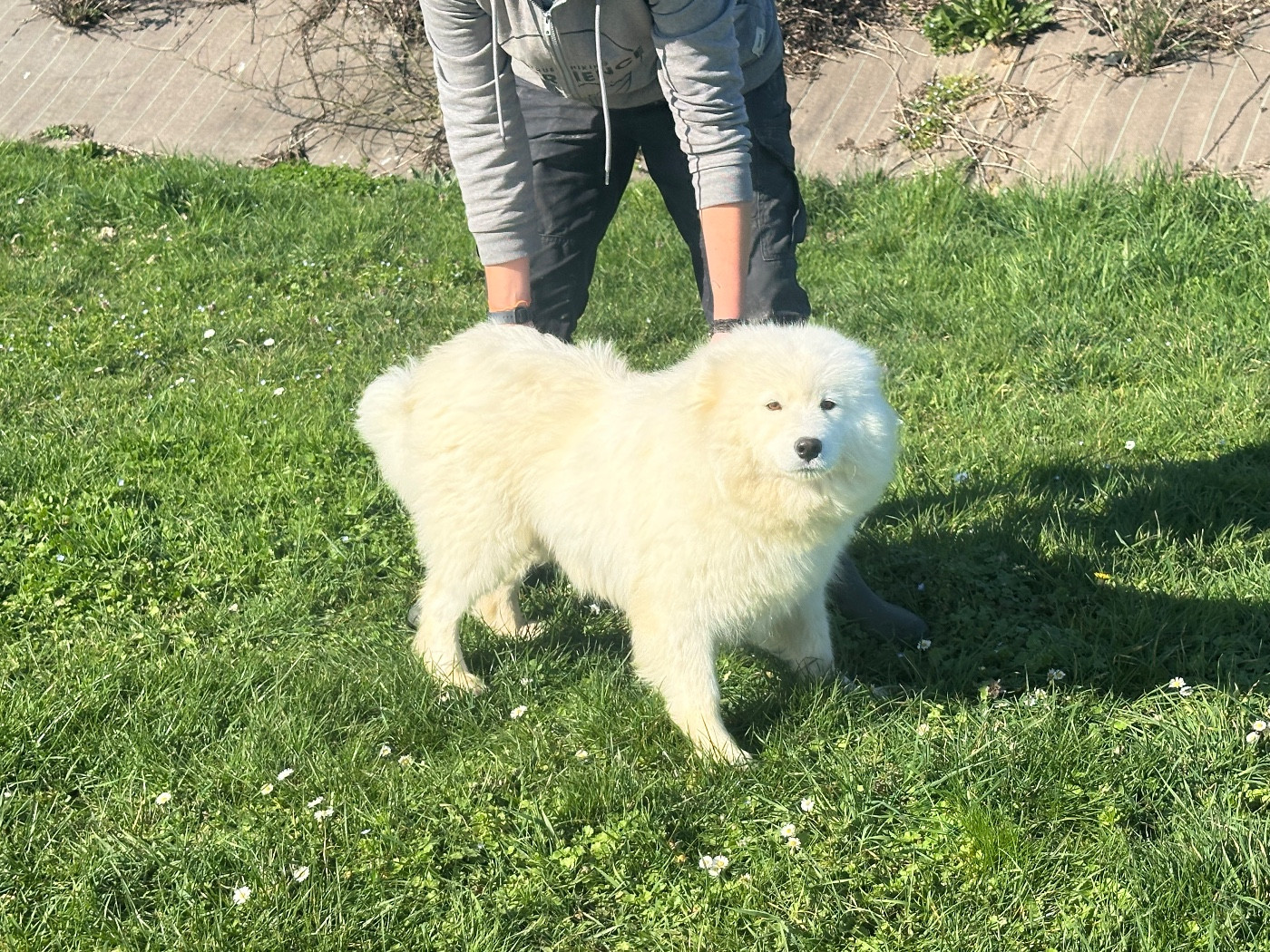 Udie de Jerrie Black