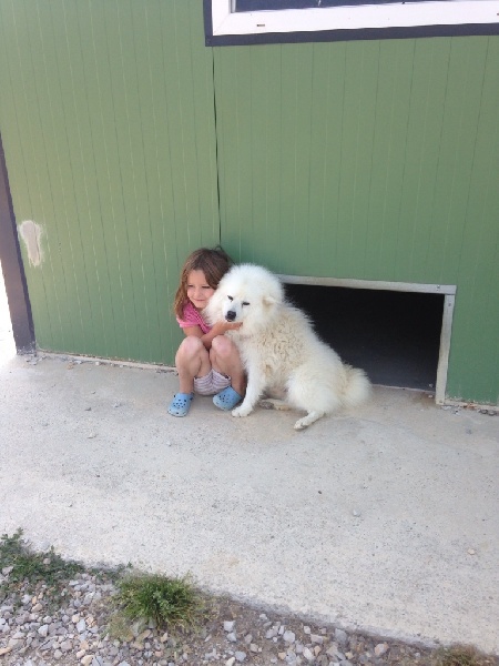 Publication : de Jerrie Black