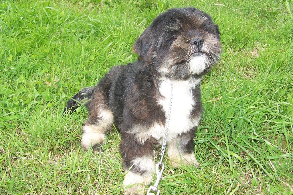 Nell de Jerrie Black