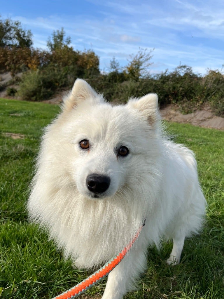 Des Douceurs De Margot Uka