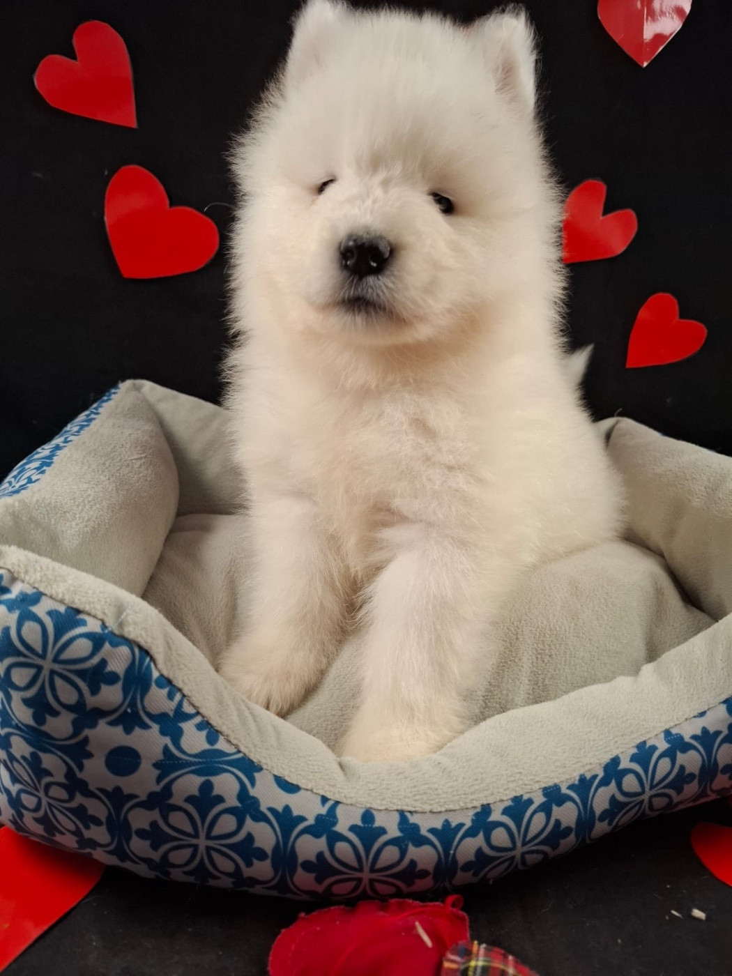 B...... en réflexion