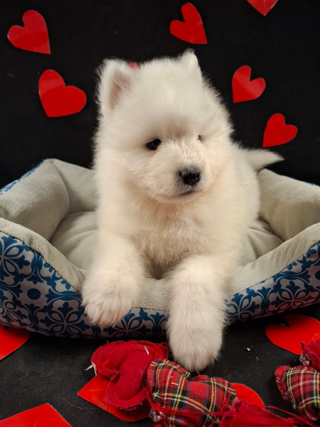 B...... en réflexion