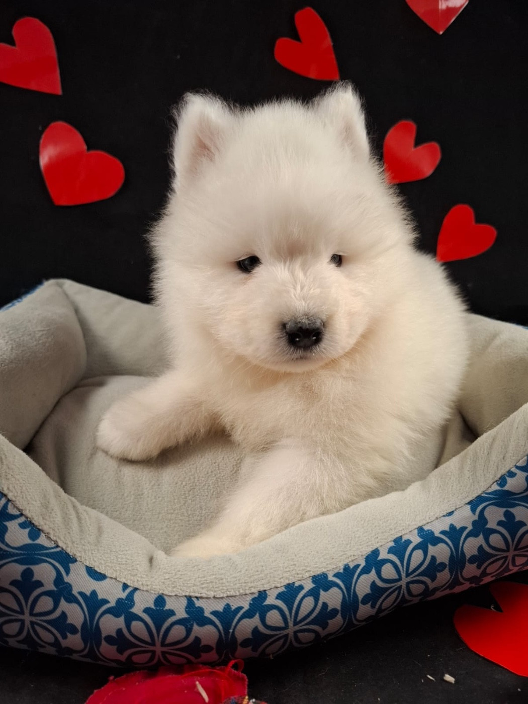 B...... en réflexion