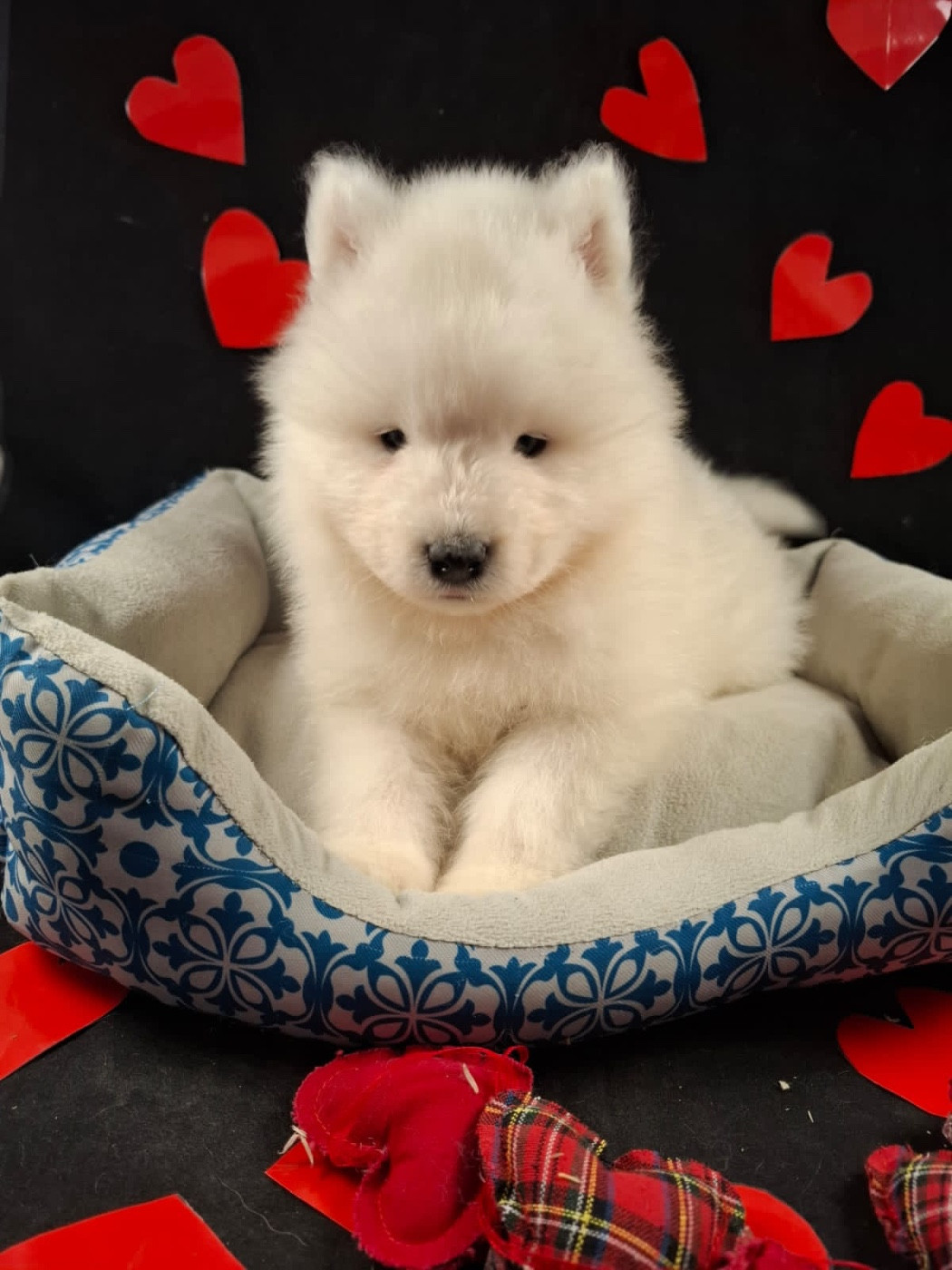 B...... en réflexion