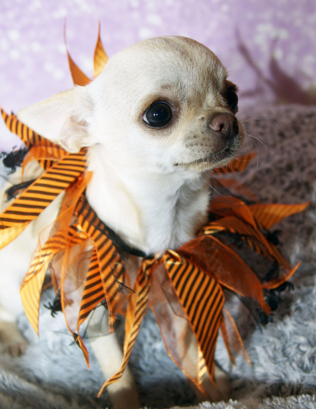 Publication : de L'Arbre des Batailles