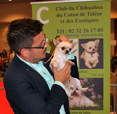 Publication : de L'Arbre des Batailles Auteur : Joe Borges