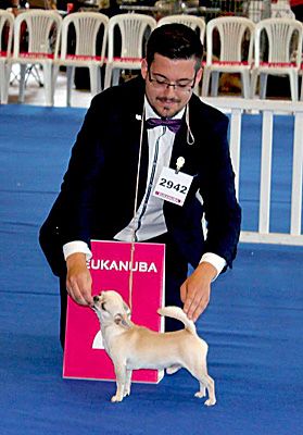 Publication : de L'Arbre des Batailles Auteur : Joe Borges