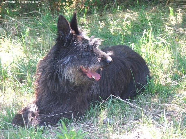 Tao de la jassette du cap del mas - RCACIB/RCACS/2EXC