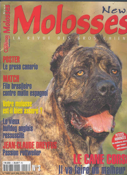 Publication : (Sans Affixe)