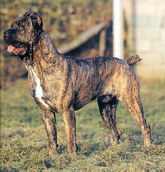 Publication : (Sans Affixe)