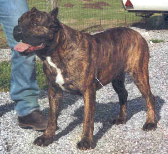 Publication : (Sans Affixe)