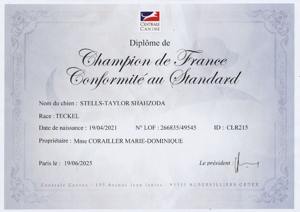 CH. stells-taylor Shahzoda dite princesse