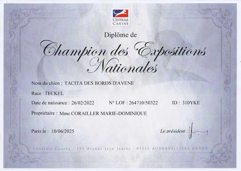 Tacita des bords d'avene