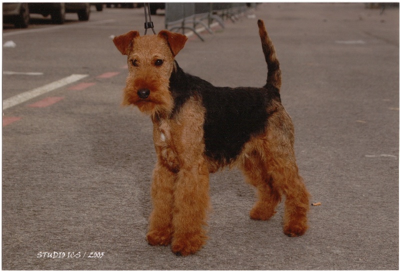 CH. Ukaï du clos du Semberg