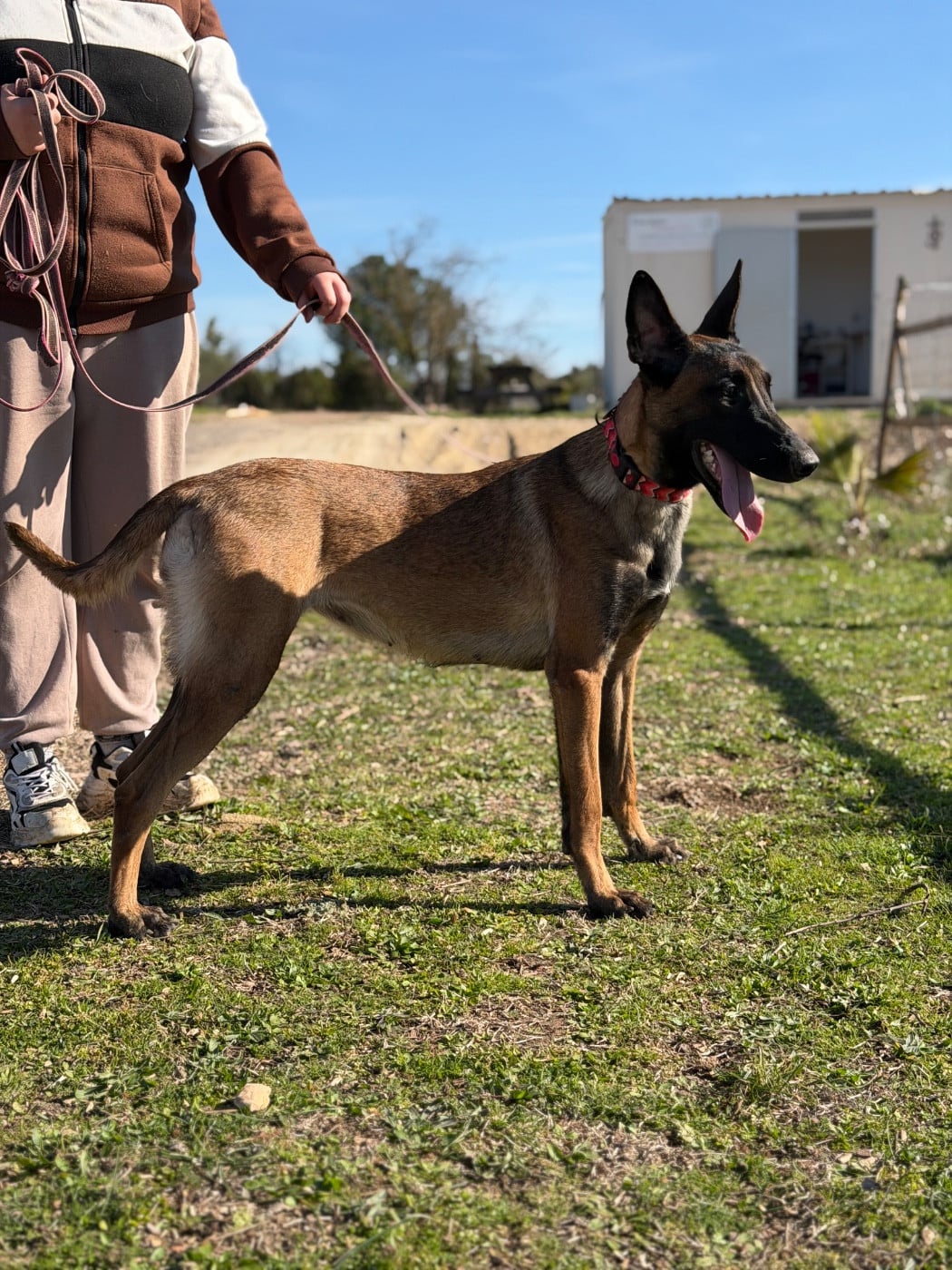 Voukie du chemin de l’espérance