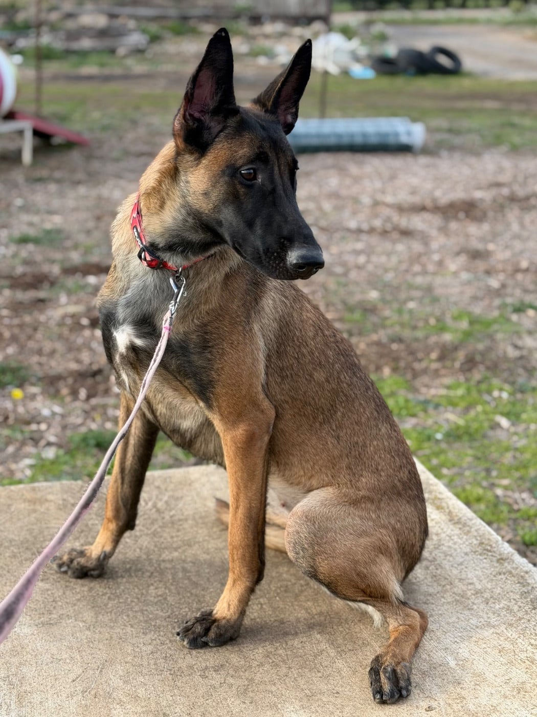 Voukie du chemin de l’espérance