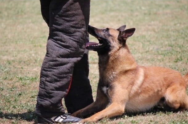 Nougaro dit niakoué du val du tonkin