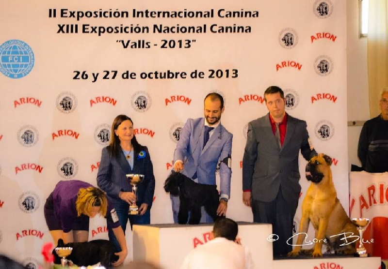 Publication : de Cuore Blue