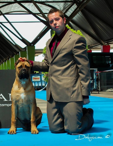 Publication : de Cuore Blue