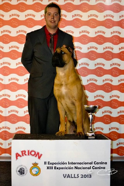 Publication : de Cuore Blue