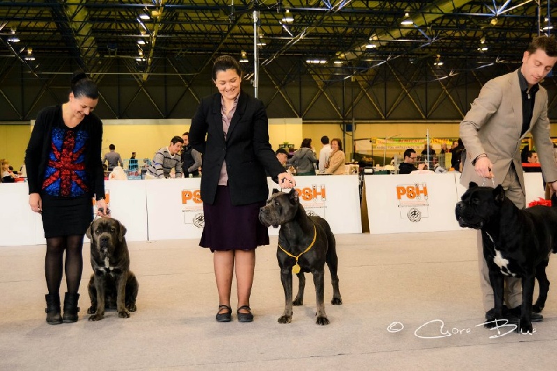 Publication : de Cuore Blue Auteur : nury pera joana vives