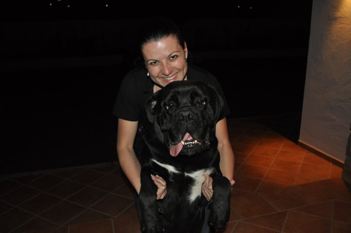 Publication : de Cuore Blue