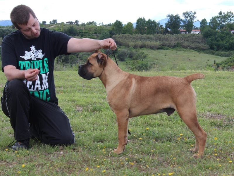 Publication : de Cuore Blue