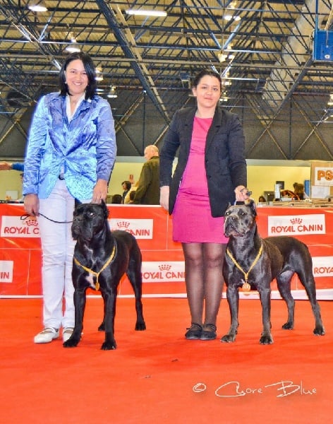 Publication : de Cuore Blue