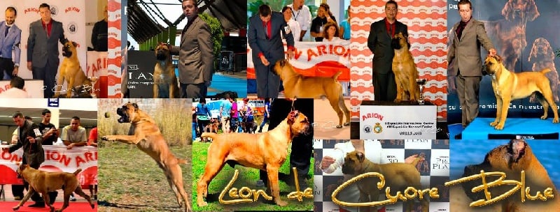 Publication : de Cuore Blue