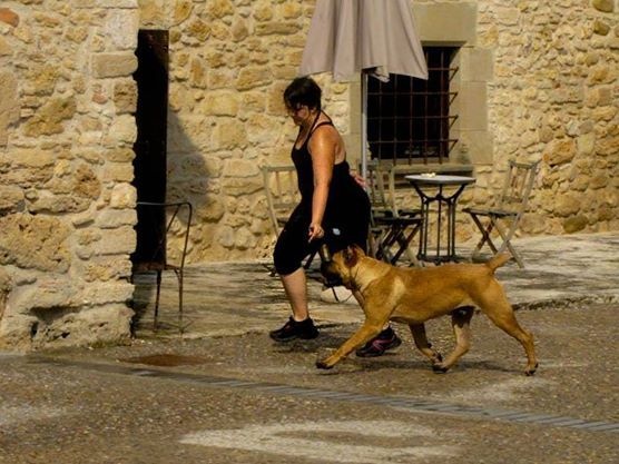 Publication : de Cuore Blue