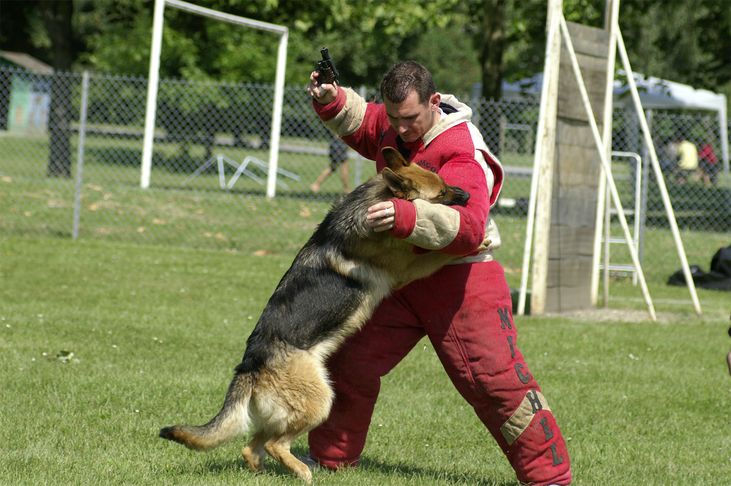 Publication : De la plaine de serrieres