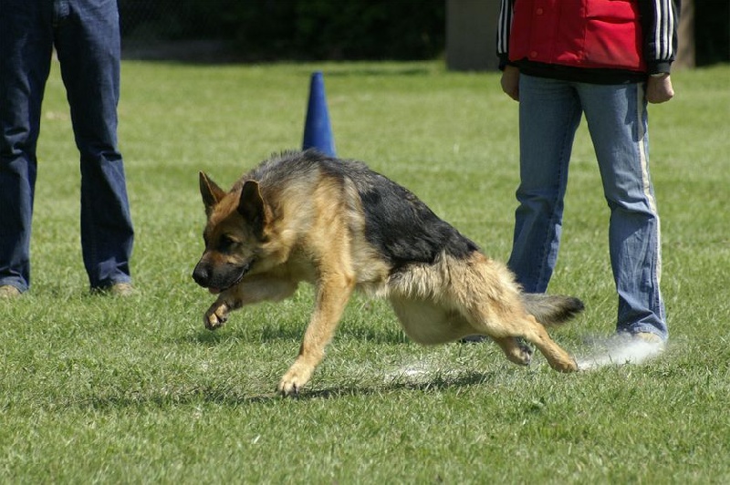 Publication : De la plaine de serrieres