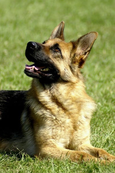 Publication : De la plaine de serrieres