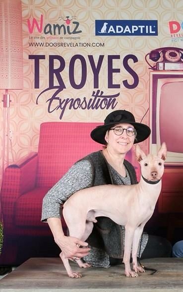 Publication : De korrantoh Auteur : korrantoh