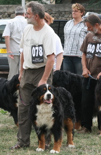 RUMBA de la Clairiere aux Cerfs - EXCELLENT