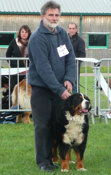 RUMBA de la Clairiere aux Cerfs - EXCELLENT