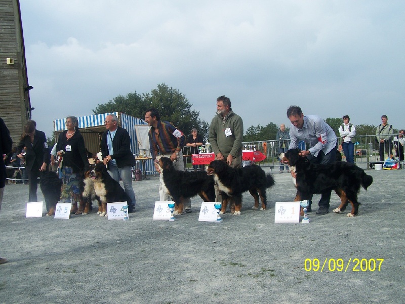 RUMBA de la Clairiere aux Cerfs - 5 éme EXCELLENT