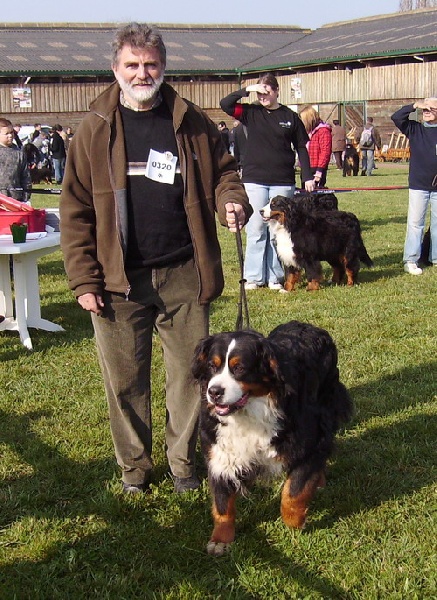 RUMBA de la Clairiere aux Cerfs - EXCELLENT