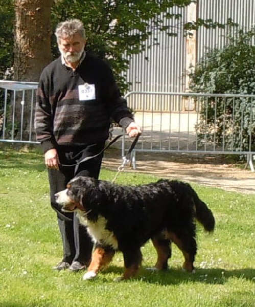 RUMBA de la Clairiere aux Cerfs - 4 éme EXCELLENT