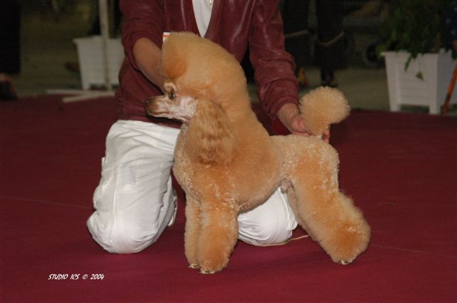 CH. Trubert my sweet lord