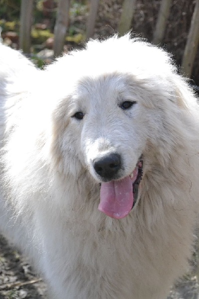 Publication : des Sentiers du Roi Auteur : Sophie Delchambre