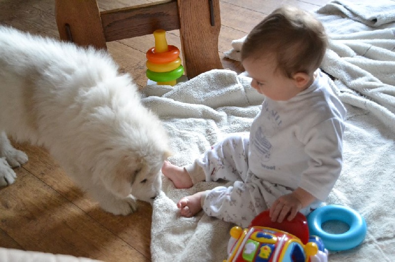 Publication : des Sentiers du Roi Auteur : Sophie Delchambre